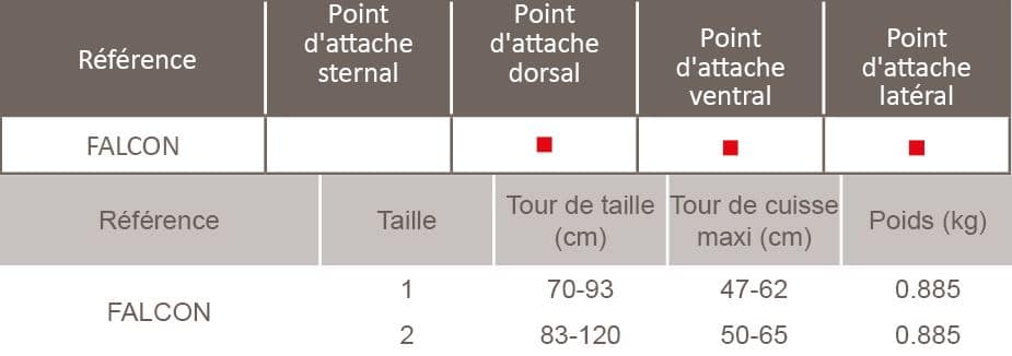 Poulie double pour tyrolienne sur corde et câble - PETZL® - Cablac